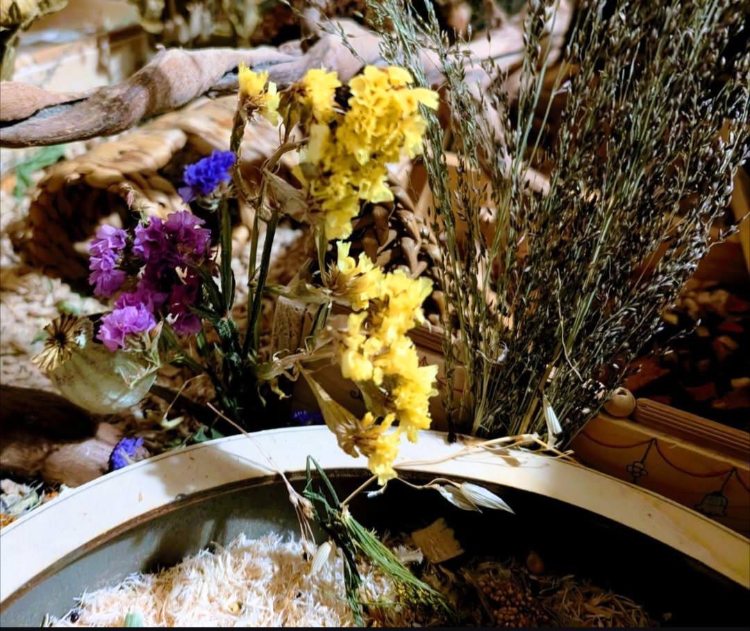 Beautifully crafted bloom boxes filled with dried flowers and natural forage, offering small pets a vibrant and enriching foraging experience