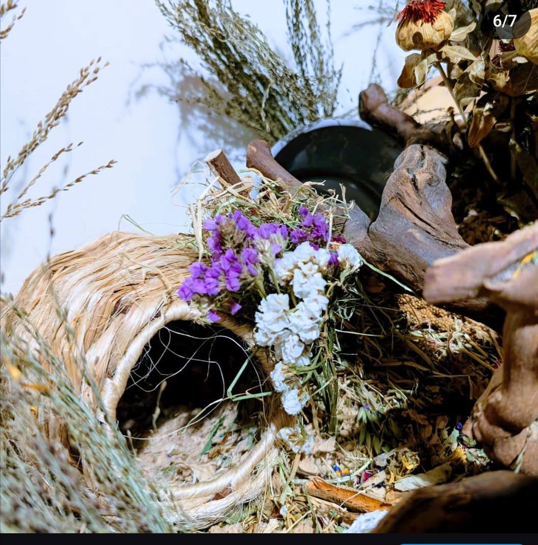 Beautifully crafted bloom boxes filled with dried flowers and natural forage, offering small pets a vibrant and enriching foraging experience