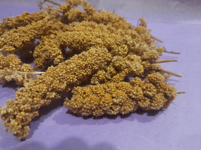 Natural millet sprays, a tasty and enriching forage treat for small pets, perfect for encouraging natural foraging and chewing behaviors.