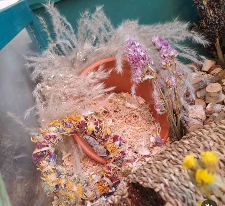 Beautifully crafted bloom boxes filled with dried flowers and natural forage, offering small pets a vibrant and enriching foraging experience