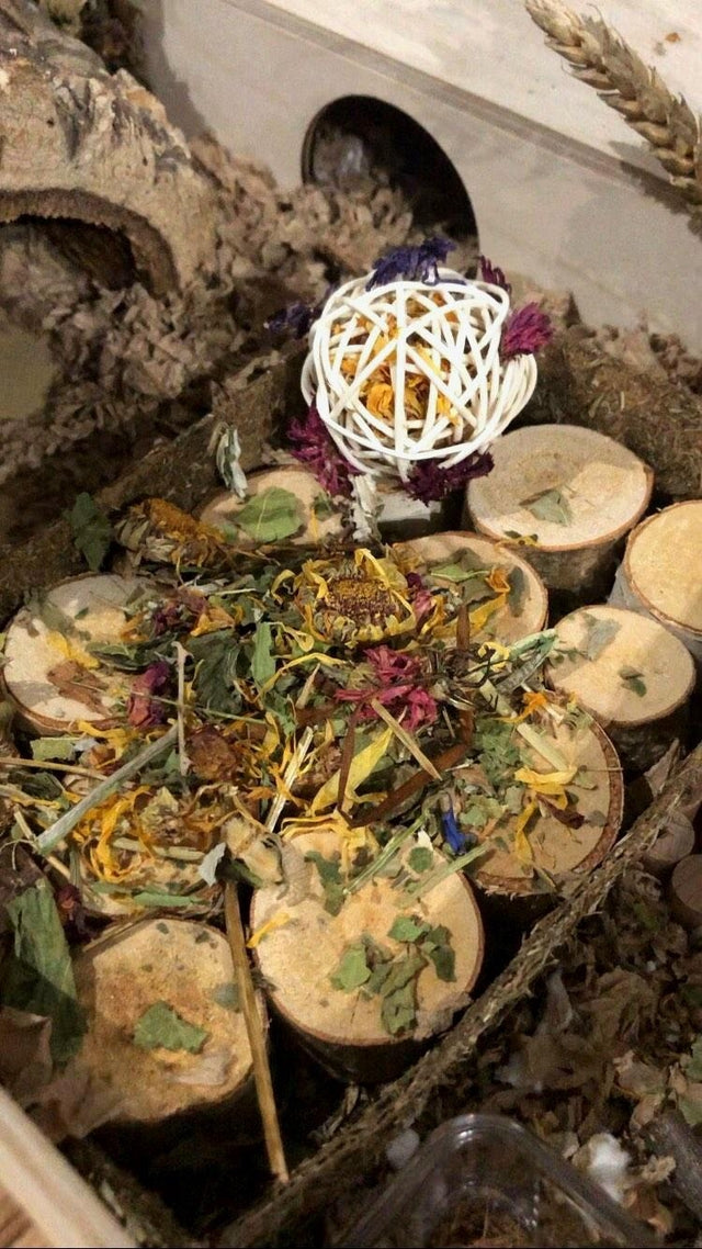 "Natural forage mix featuring a blend of dried herbs, flowers, and leaves, perfect for small pets to encourage foraging and enrichment."