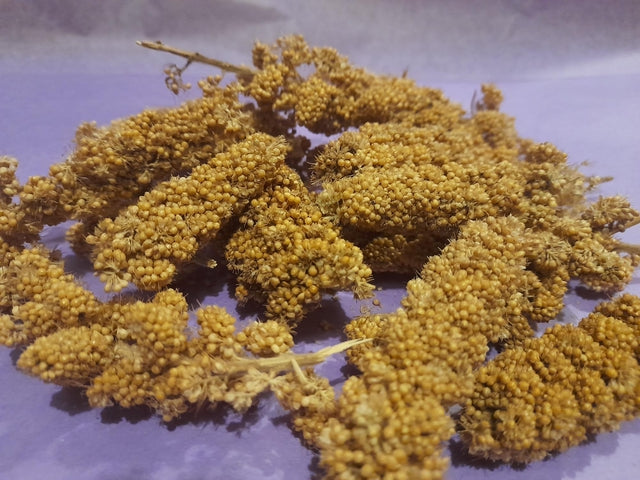 Natural millet sprays, a tasty and enriching forage treat for small pets, perfect for encouraging natural foraging and chewing behaviors.