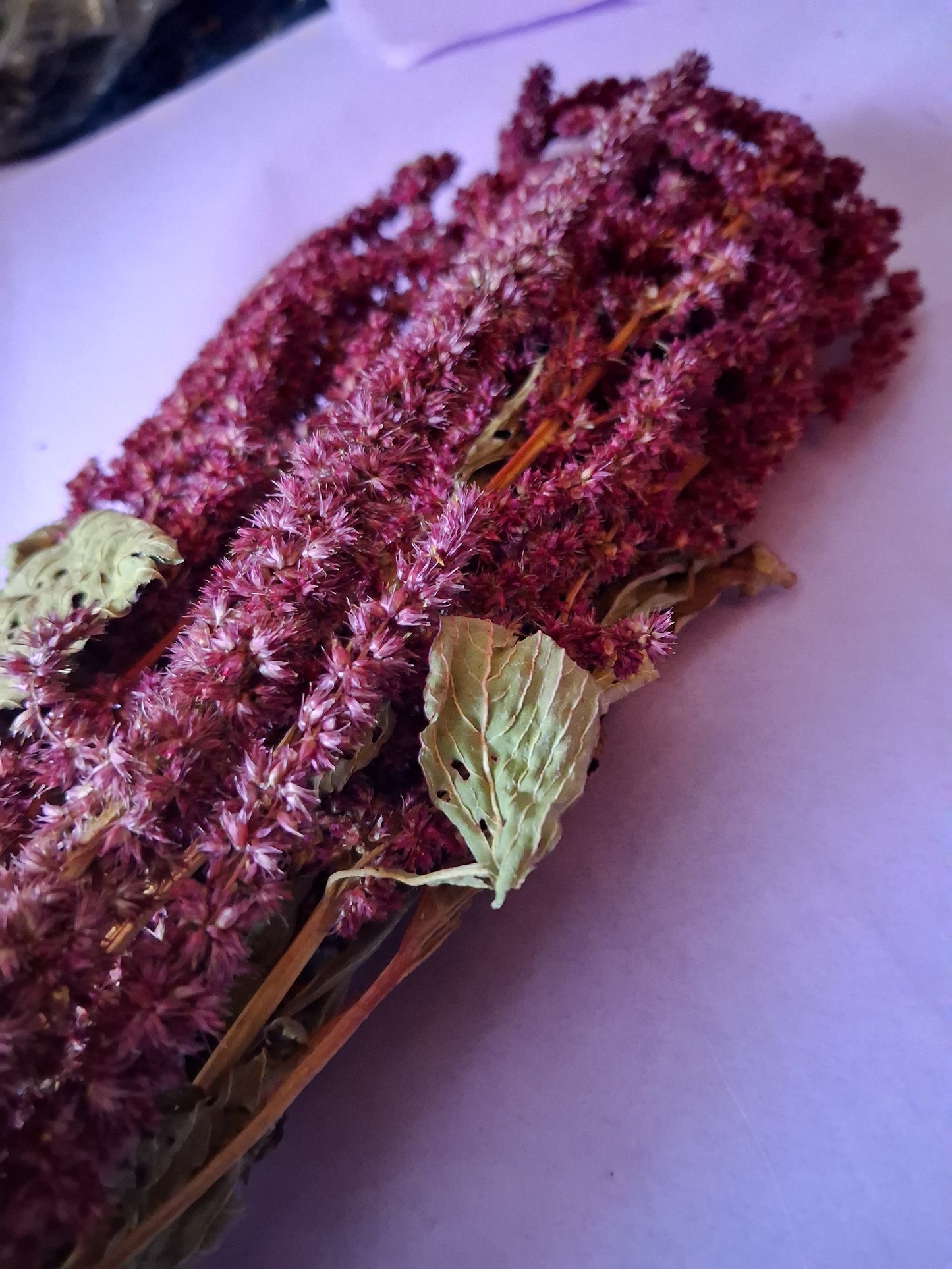 Amaranth spray