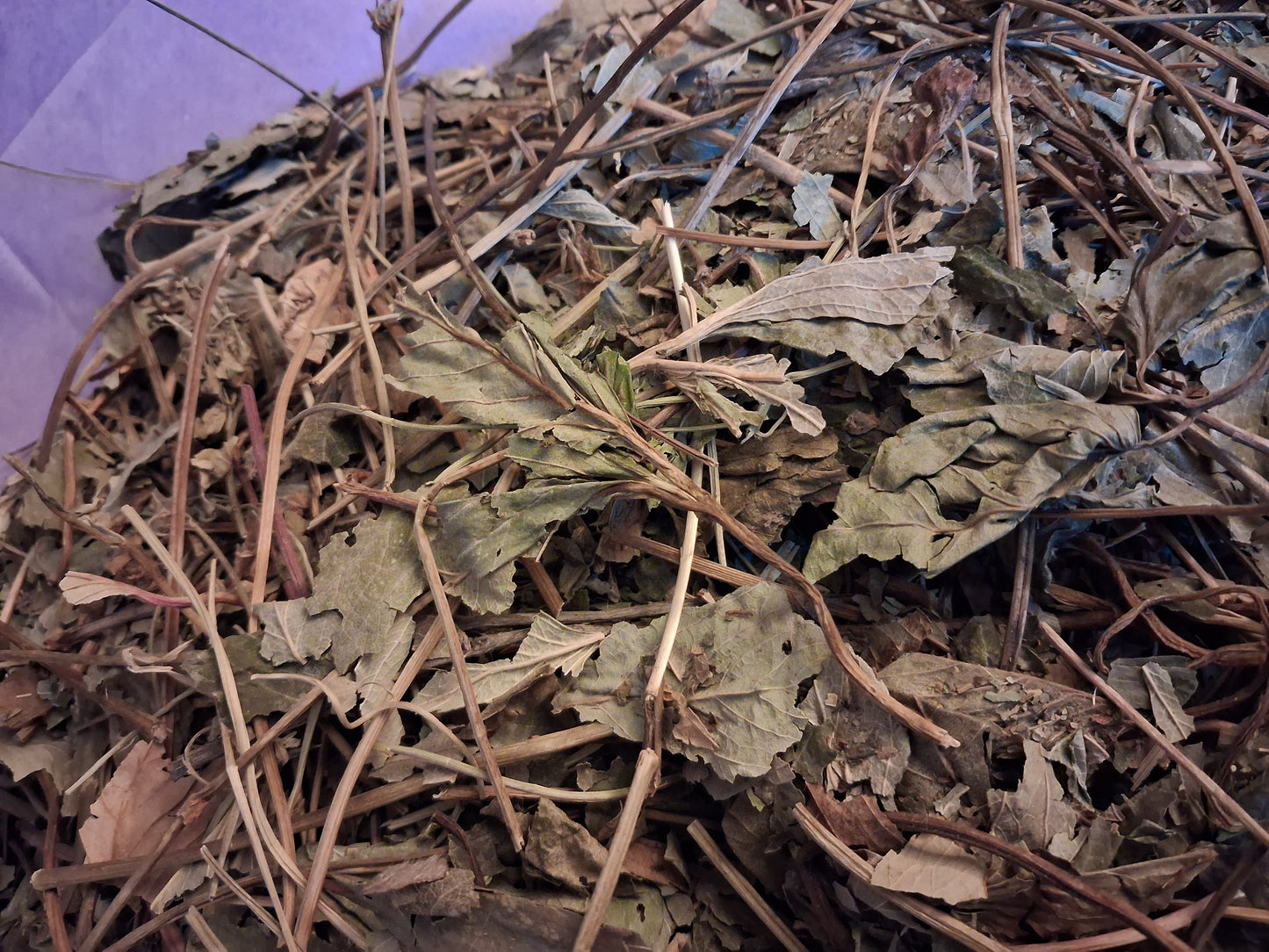 Strawberry leaf & stem