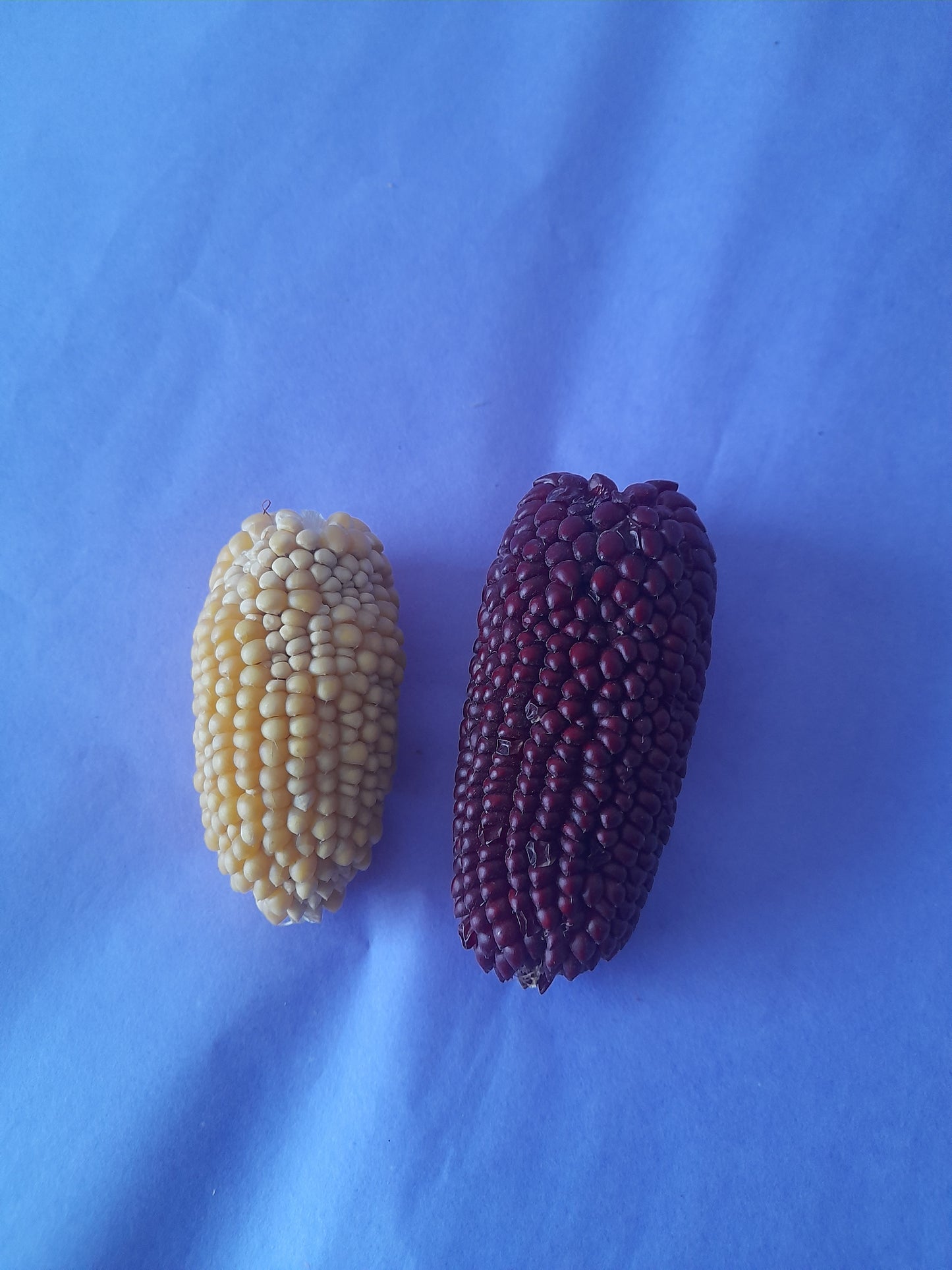 Mini corn cobs (2 pack)