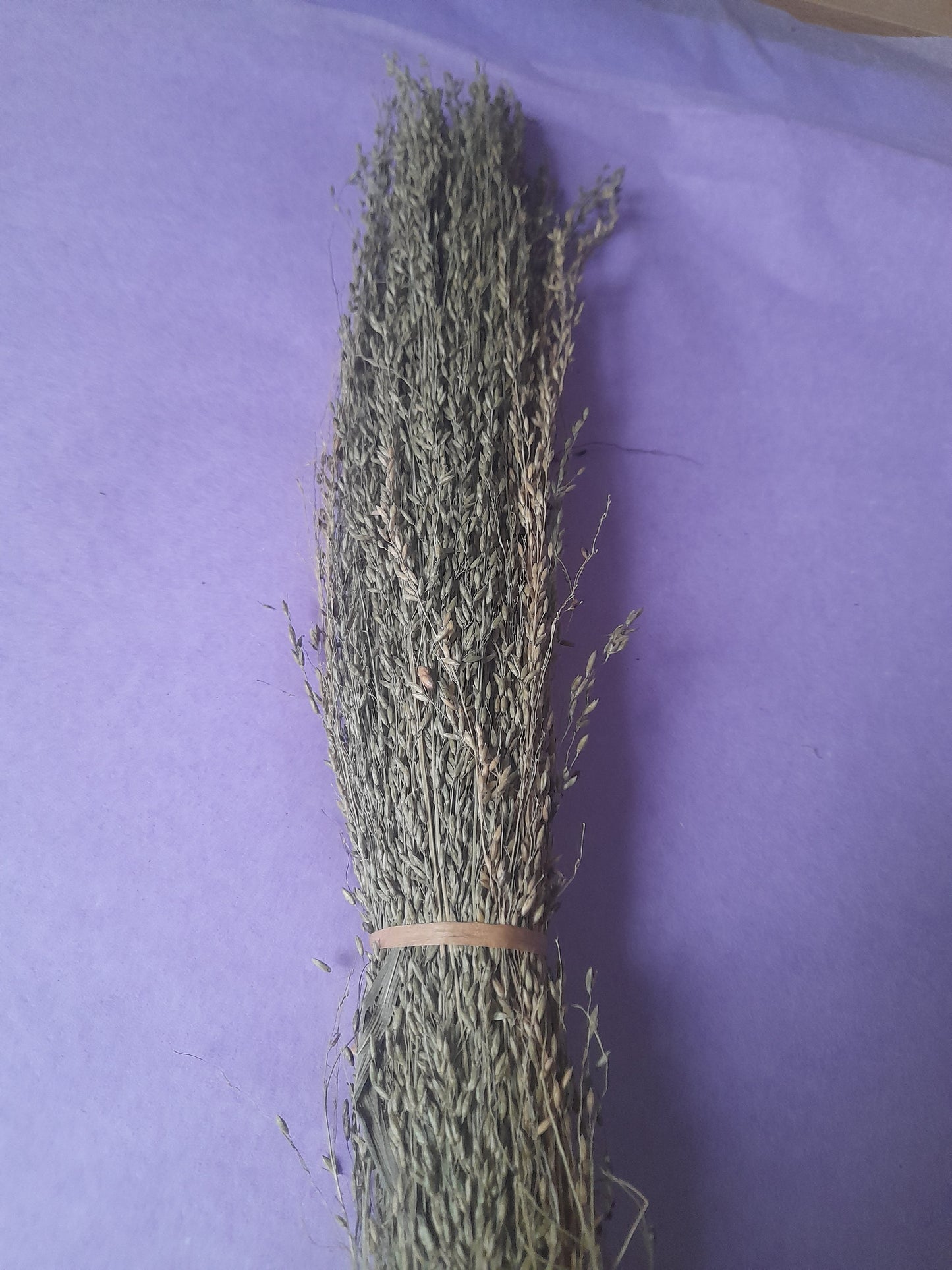natural Pagima sprays, an organic and safe forage option for hamsters, adding texture, coverage, and enrichment to their enclosure."