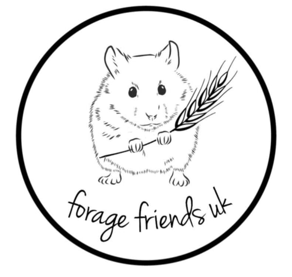 Foragefriendsuk