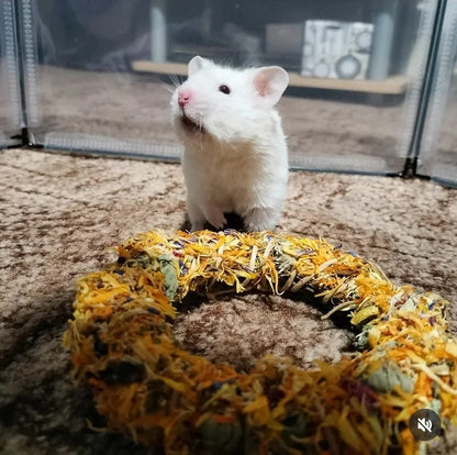 Handcrafted forage wreath made with dried herbs, flowers, and leaves, providing a natural, edible enrichment toy for small pets.