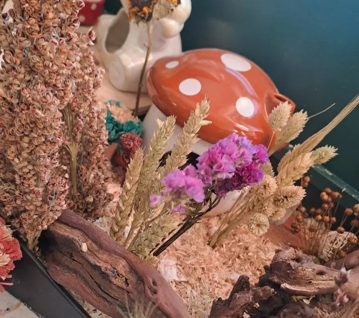 Beautifully crafted bloom boxes filled with dried flowers and natural forage, offering small pets a vibrant and enriching foraging experience