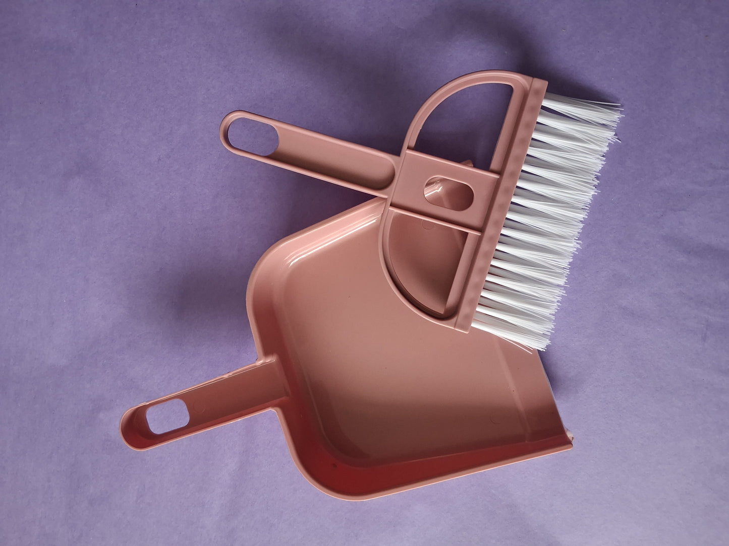 Mini Dustpan & Brush set