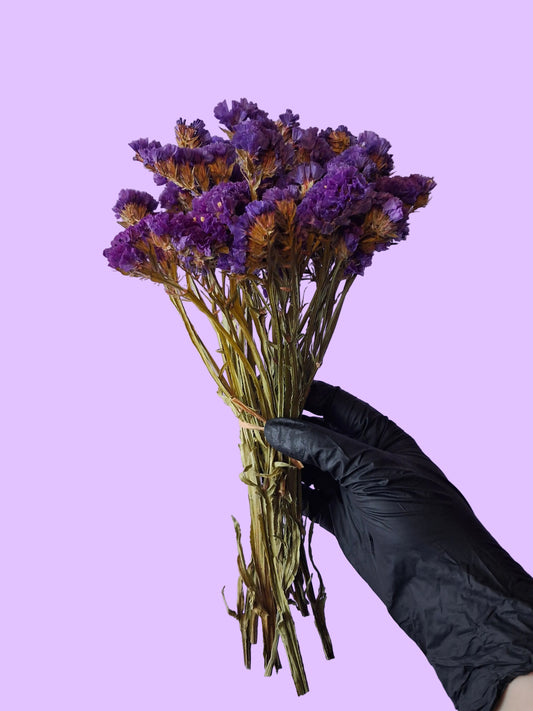 Statice (Purple)