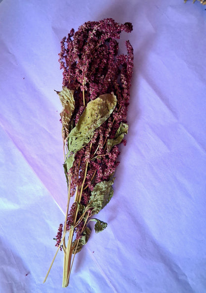 Amaranth spray